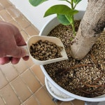 모던화이트 사각 모종삽