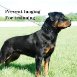 개를 위한 초크 체인 메탈 슬립 트레이닝 헤비 듀티 개 칼라 마팅게일 강아지 목걸이 소형 중형 대형 품종 개