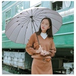 16개의 리브가 메이춘 수동 개폐 우산 - 내구성 튼튼함 210T 섬유 방수 스포츠용 방풍