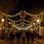 500구 검정선 LED 웜색 지니전구 트리전구