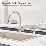 대형 병 브러시드 니켈 이 포함된 GAGALIFE 주방 싱크대 비누 디스펜서 탑 억 개의 디스펜서 리필 내장 Brushed Nickel G0800