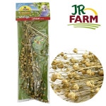 햄스터 먹이 간식 JR팜 아마씨 아마줄기 30g