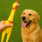 멍멍토이 삑삑이 닭 장난감 강아지 소리나는 인형