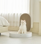 펫초이스 반려묘 장난감 애묘 스크래쳐 와이드