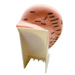 한 귀경혈 모형 사람 이침 혈점 한의원 지압점 귀 교구 실습