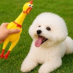 멍멍토이 삑삑이 닭 장난감 강아지 고양이 토이인형