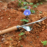 농작물 수확 호미 제초기구 주말농장 작업 도구 1p 잡초제거 잡초관리 원예도구 농사용