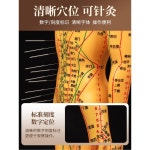 인체모형 혈자리모형 침술 한의학 한의원 전통 사람 침구 전신 마네킹 한의