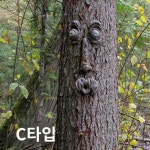 얼굴 조형물 공예 숲 조각 재미있는 나무 데코 장식 야외 정원 꾸미기 나무 이목구비 C타입