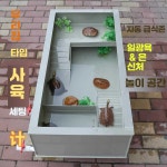 거북이사육장 거북이 집 대형 수조 터틀홈 터틀텁 1 먹이기 거북이 연