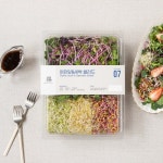 어린잎 새싹 샐러드 300g