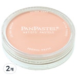 팬파스텔 IRON Oxide TINT 1색 2개