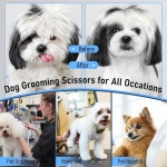 퍼플 드래곤 개 그루밍 가위 세트 - 청커 스트레이트 업 앤 다운 커브드 빗 개와 고양이를 위한 조절 가능한 나사가 7 Chunker Set