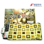 태영전자 태영전자 음이온 숯 찜질기 소형 TYE-100