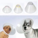 중성화 넥카라 동물병원전용 강아지 고양이 플라스틱 넥카라 L사이즈