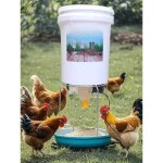 닭모이타이머 자동공급기 정량 농장 사료 먹이 급여 1개 스마트 타이머 5M전선 220V 사료통