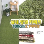실버타운 요양원 소음방지 그린 카페트 바닥매트 x 1m당 출입문발판