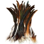 THARAHT 50PCS 루스터 코크 테일 페더 벌크 내추럴 12-14 웨딩 그래스 가면극 파티 공연 DIY 장식 페더 nch 12-14I