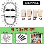 구강 실습 치아 봉합 치위생사 치과 브래킷 모형 교육 수지 치아 46개 위치 10개 1개 1L