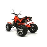 엑스레이싱 250CC