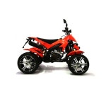 엑스레이싱 250CC