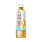 새싹보리차 500ml