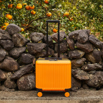 엠에이치앤코 모던하우스 ON PESPES 미니02 캐리어 16형