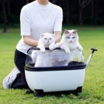 투명 고양이 산책 경량 유모차 이동장 이동 캐리어