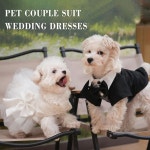 강아지 드레스 흰색 웨딩 의상 강아지용 프린세스 자수 레이스 투투 스커트 작은 중간 크기 암컷 소녀 고양이 의상 드레스 작은... 