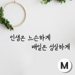 스티커비치 감성문구 스티커 07 인생은 느슨하게 매일은 성실하게 검정M