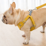 고양이 강아지겸용 야광 조끼형 앞섬방지 하네스 소형 대형 S G9035 G9043