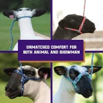 직조 가축 폴리 로프 양털 홀터 모던 스타일 땋은 양과 염소 조절 가능한 홀터 리드 양털이 공급을 보여줍니다