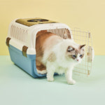 릿첼 강아지 고양이집 이동장 이동가방 켄넬 M