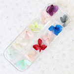 레진 공예 아트 꾸미기 생화 압화 미니 수국 꽃 12종 압화꽃 미니12종 아미꽃세트 1개