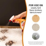 자연의 기적의 개 옥시 세인 스테인 디스토이어 32 Fl Oz Pack of 1