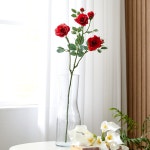 모던하우스 모던하우스 리얼가든 스몰로즈 스프레이 AF0123034