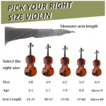 갓에코어 4 4 어쿠스틱 바이올린 케이스 보우 로진 내추럴 을 포함한 초보자를 위한 풀 사이즈 바이올린 세트