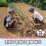 끌레아 촌캉스 호캉스 할머니 몸빼바지 꽃무늬 촌캉스룩 바캉스 바지