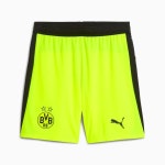 푸마 도르트문트 어웨이 BVB Shorts Replica w blocking 그린 L 31 32 780127-07 07