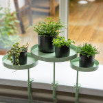 테이블 창틀 고정형 원형 선반 그린 M 1개