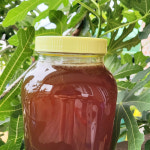 꿀단지 숙성피나꿀2 4kg 1병