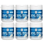 자일리톨 자일리톨 껌 프레시 민트 패밀리 병 133g 6 개 6개