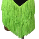 류후오 그린 태슬 브이넥 3D 자수 라틴 댄스 드레스 여성 대회 공연 Green Small