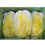 학동농장 해남 절임배추 20kg