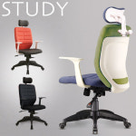사비나 스터디 大 의자 TSC_006