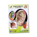 동명건강 이혈건강혈위도 이침혈도 귀혈자리 한글이침궤도 귀침 이침 이혈도 혈위도 혈자리 한글 요법 강사용 lam 7641xq 1개