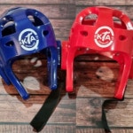 VISION VISION 비젼 헤드기어 머리보호대 태권도용품 S 1개