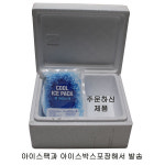 CJ 이츠웰 그때그시절 옛날통닭 2마리 4조각 760g 아이스박스 아이스팩