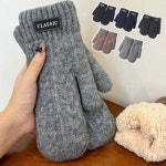 남자 여자 추운 겨울 따뜻한 글러브모양 데일리 꽈배기 도톰 털 안감 벙어리 장갑
