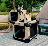 소프트 켄넬 베이지